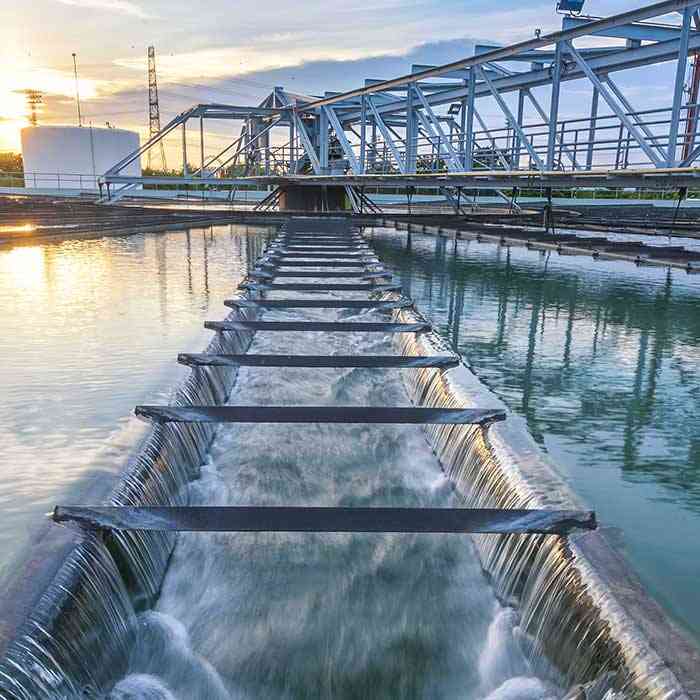 image of a water plant near sunset
